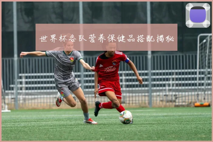 世界杯各队营养保健品搭配揭秘