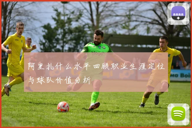 阿里扎什么水平回顾职业生涯定位与球队价值分析