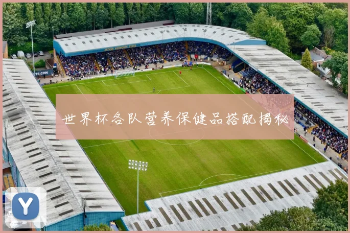 世界杯各队营养保健品搭配揭秘