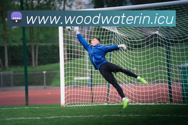 App Interface Preview