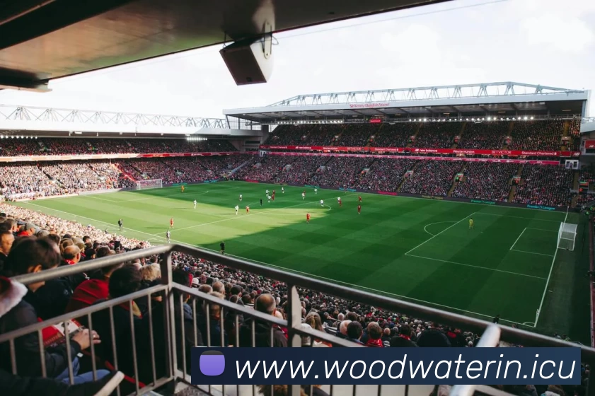 九游网页版·官方版在线入口 - 九游(中国)APP 封面图